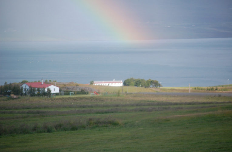 Lake Bridgeport: Is he really my true Valentine? Love and PTSD.
