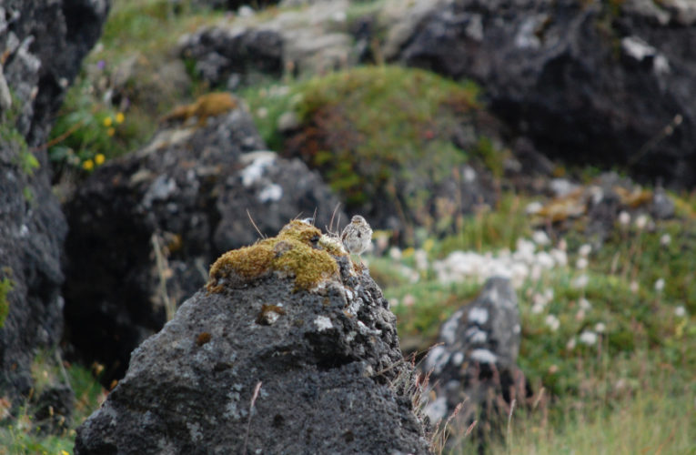 Lake Bridgeport: Post-school holidays re-set. PTSD self-scan.