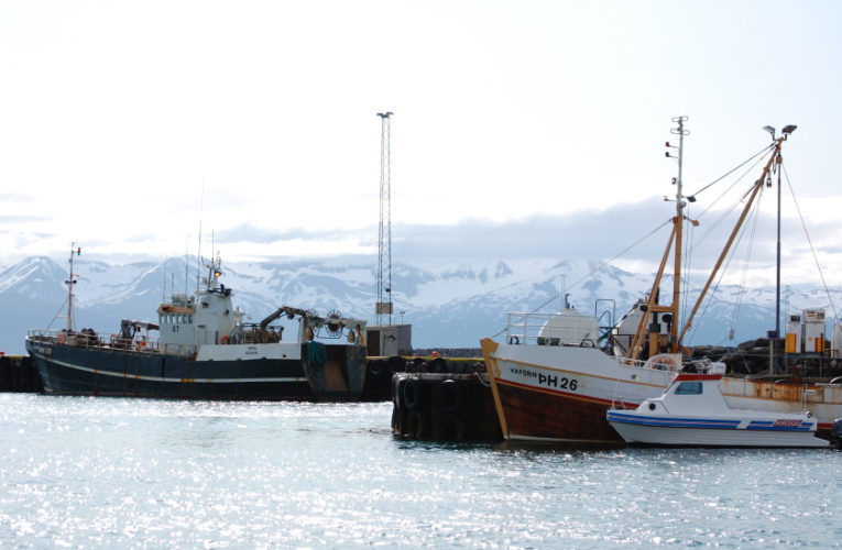 Lake Bridgeport: Woman/wife/mother: PTSD + suicidal thoughts