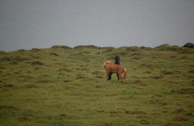 Lake Bridgeport: The Battle for Harmony When Living With PTSD