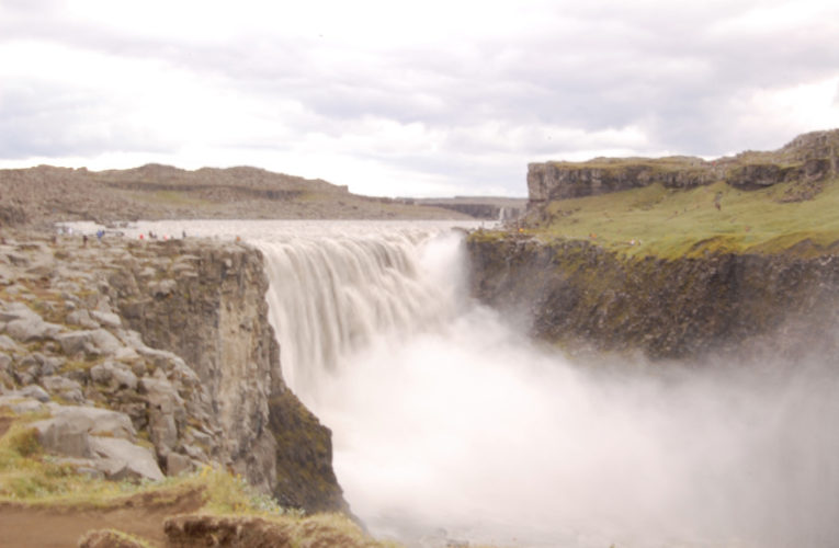 Lake Bridgeport: Help! I’m a lost little amoeba in this big PTSD ecosystem