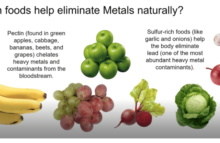 Eliminate Heavy Metals Naturally in Lake Bridgeport